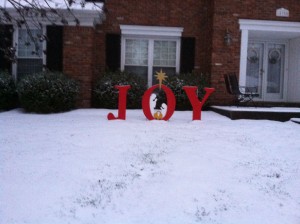 Chuck's new Christmas decoration enjoying the fresh snow!